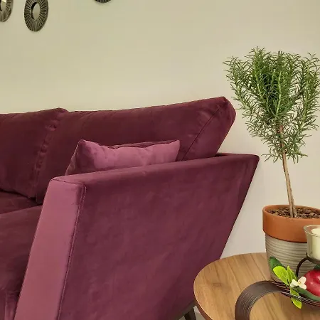 Lägenhet Apartmani Zora