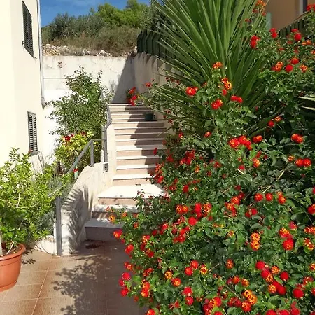 Apartmani Zora
